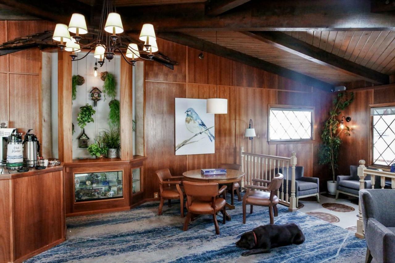Bluebird Inn كامبريا المظهر الخارجي الصورة