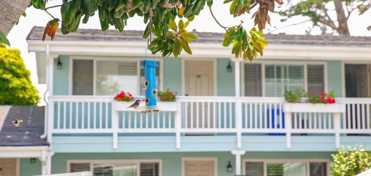Bluebird Inn كامبريا المظهر الخارجي الصورة